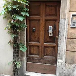 Harmony In Rome